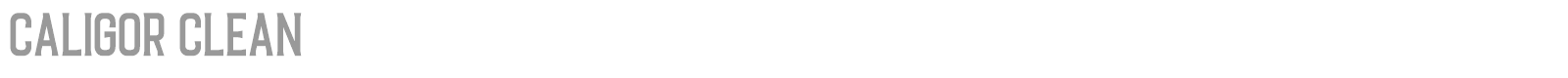 Caligor Sans font preview